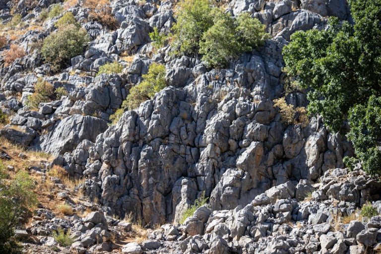 Green Getaways: Embracing Eco-Friendly Vacation Packages